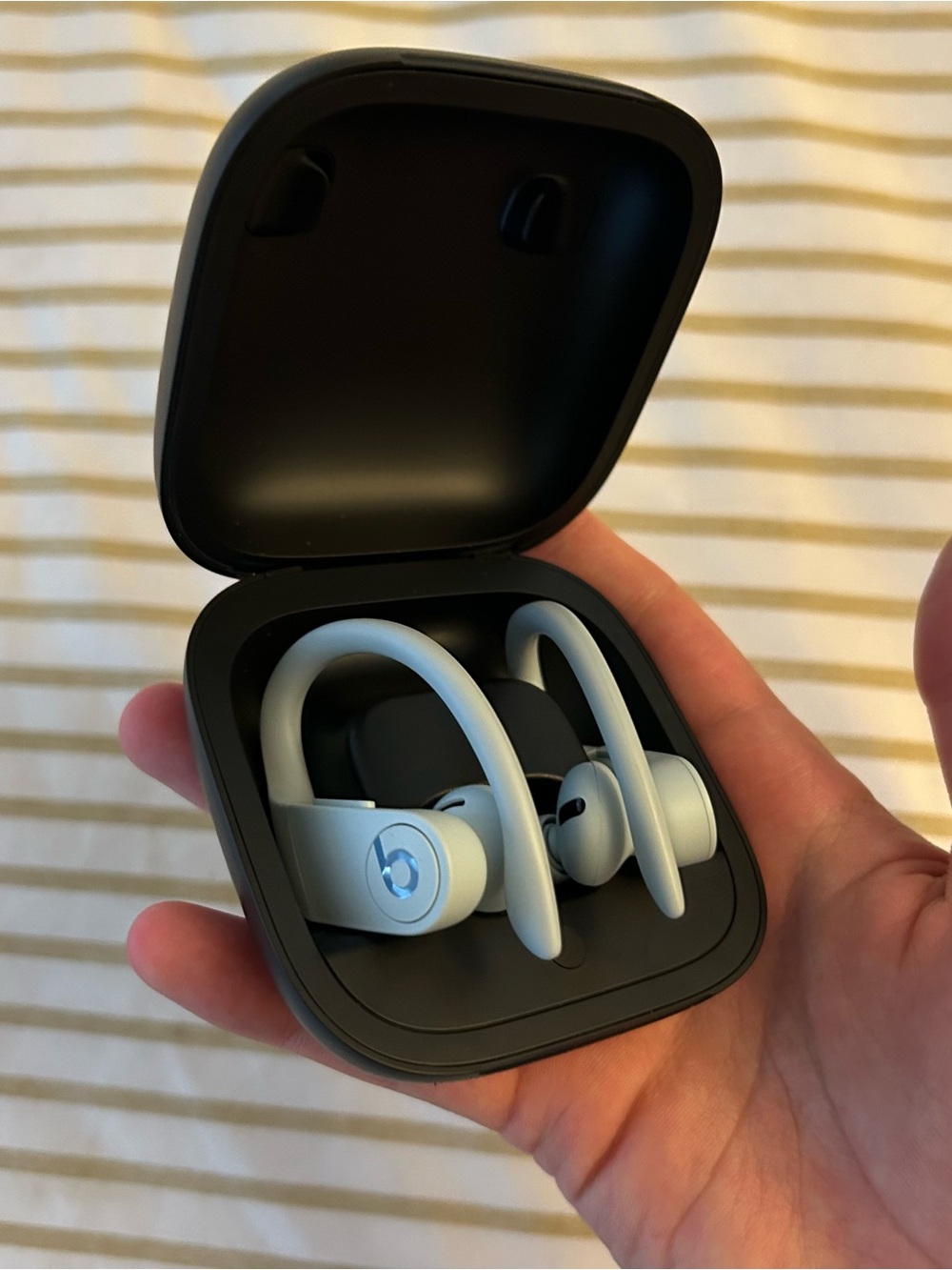Beats Powerbeats Pro Wireless Earbuds in Glacier Blue